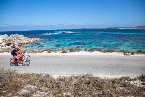 Experience Rottnest With Ferry & Bike Hire From Perth Or Fremantle - Accommodation Sunshine Coast 2