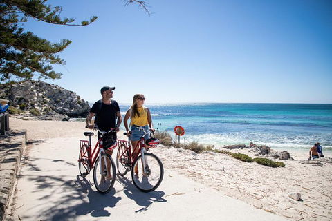 Experience Rottnest With Ferry & Bike Hire From Perth Or Fremantle - Accommodation Sunshine Coast 4