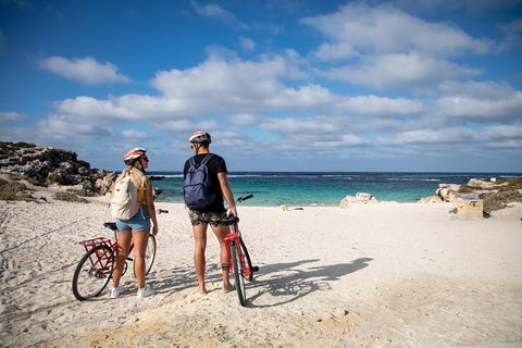 Experience Rottnest With Ferry & Bike Hire From Perth Or Fremantle - Accommodation Sunshine Coast 5