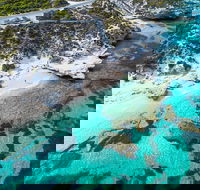 Rottnest Island Round-Trip Ferry from Perth or Fremantle - Accommodation Sunshine Coast