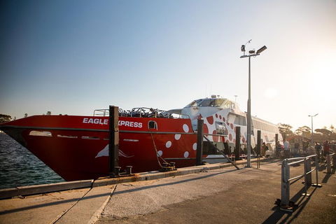 Rottnest Island Round-Trip Ferry From Perth Or Fremantle - Accommodation Sunshine Coast 2