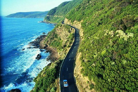 Melbourne Super Saver: Great Ocean Road + Mornington Peninsula + Attraction Pass - Accommodation Sunshine Coast 0