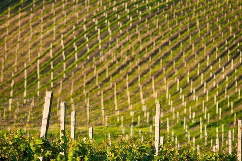 Melbourne Super Saver: Great Ocean Road + Mornington Peninsula + Attraction Pass - Accommodation Sunshine Coast 1