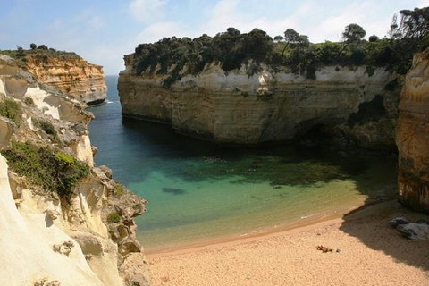 Melbourne Super Saver: Great Ocean Road + Mornington Peninsula + Attraction Pass - Accommodation Sunshine Coast 3