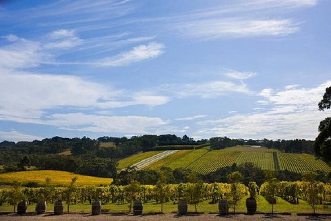 Melbourne Super Saver: Great Ocean Road + Mornington Peninsula + Attraction Pass - Accommodation Sunshine Coast 5
