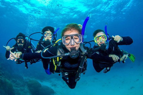 Great Barrier Reef Diving And Snorkeling Cruise From Cairns - Accommodation Sunshine Coast 0