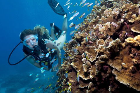Great Barrier Reef Diving And Snorkeling Cruise From Cairns - Accommodation Sunshine Coast 1