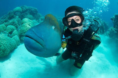 Great Barrier Reef Diving And Snorkeling Cruise From Cairns - Accommodation Sunshine Coast 2