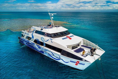 Great Barrier Reef Diving And Snorkeling Cruise From Cairns - Accommodation Sunshine Coast 5