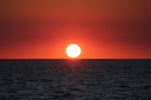Roebuck Bay Snubfin Dolphin Cruise - Accommodation Sunshine Coast 3
