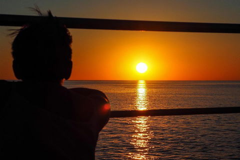 Roebuck Bay Snubfin Dolphin Cruise - Accommodation Sunshine Coast 4