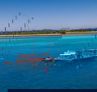 Ocean Free Green Island  Great Barrier Reef Snorkel Cruise Cairns 25 guests