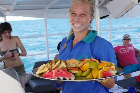 Ocean Free Green Island & Great Barrier Reef Snorkel Cruise, Cairns 25 Guests - Accommodation Sunshine Coast 1