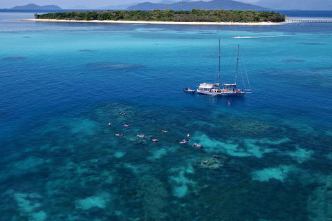 Ocean Free Green Island & Great Barrier Reef Snorkel Cruise, Cairns 25 Guests - Accommodation Sunshine Coast 2