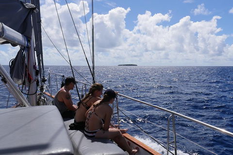 Ocean Free Green Island & Great Barrier Reef Snorkel Cruise, Cairns 25 Guests - Accommodation Sunshine Coast 4