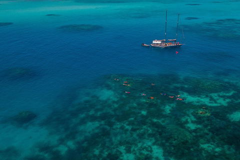 Ocean Free Green Island & Great Barrier Reef Snorkel Cruise, Cairns 25 Guests - Accommodation Sunshine Coast 5