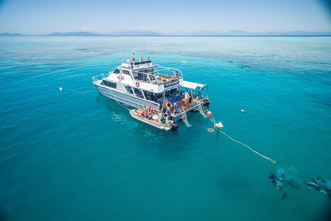 Ocean Freedom Great Barrier Reef Personal Luxury Snorkel & Dive Cruise, Cairns - Accommodation Sunshine Coast 0
