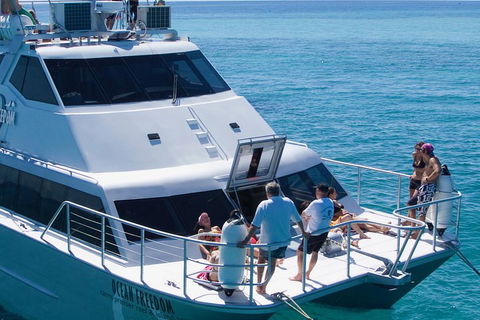 Ocean Freedom Great Barrier Reef Personal Luxury Snorkel & Dive Cruise, Cairns - Accommodation Sunshine Coast 1