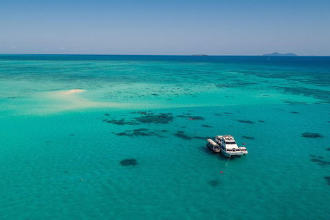 Ocean Freedom Great Barrier Reef Personal Luxury Snorkel & Dive Cruise, Cairns - Accommodation Sunshine Coast 2