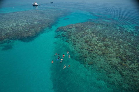 Ocean Freedom Great Barrier Reef Personal Luxury Snorkel & Dive Cruise, Cairns - Accommodation Sunshine Coast 3