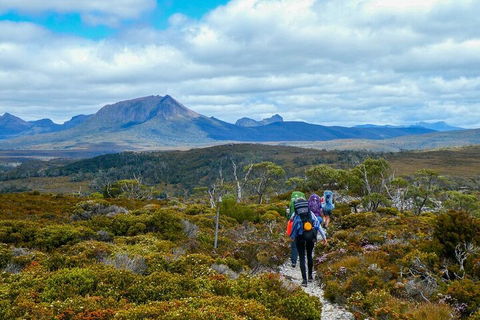 6 Day Trek The Cradle Mountain Overland Track - Accommodation Sunshine Coast 5