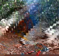 Kuranda Highlights including Rainforestation Aboriginal Culture and Wildlife - Accommodation Sunshine Coast