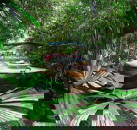 Kuranda Rainforestation  Kuranda Scenic Rail - Accommodation Sunshine Coast