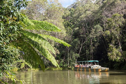 Best Of Kuranda Including Skyrail, Kuranda Scenic Railway And Rainforestation - Accommodation Sunshine Coast 5