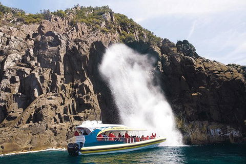 Full-Day Bruny Island Cruises Day Tour From Hobart - Accommodation Sunshine Coast 4