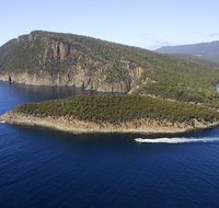 3-Hour Bruny Island Cruise from Adventure Bay Bruny Island - Accommodation Sunshine Coast