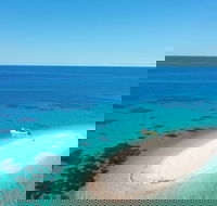 Ocean Safari Great Barrier Reef Experience in Cape Tribulation - Accommodation Sunshine Coast