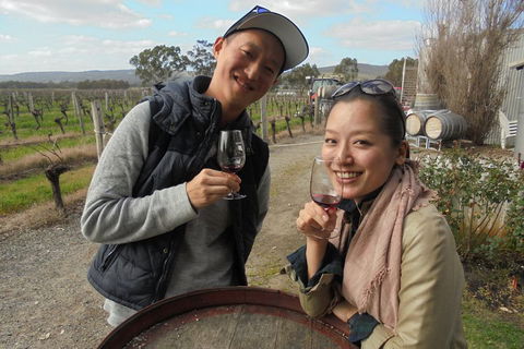Swan Valley River Cruise And Wine Tasting Day Trip From Perth - Accommodation Sunshine Coast 0