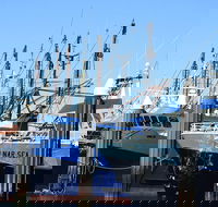One Day Port Lincoln Tour - Tasting Eyre - Accommodation Sunshine Coast