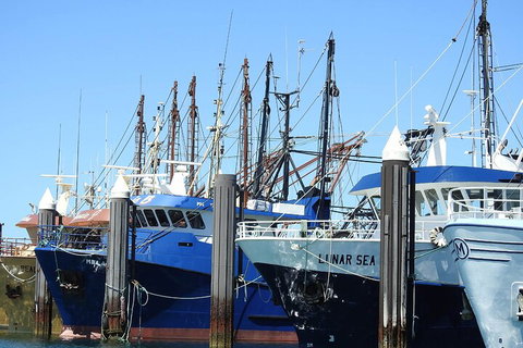 One Day Port Lincoln Tour - Tasting Eyre - Accommodation Sunshine Coast 0