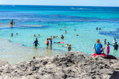 Rottnest Island Roundtrip Fast Ferry From Hillarys Boat Harbour - Accommodation Sunshine Coast 1