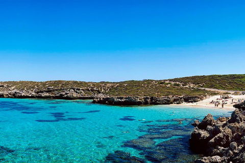 Rottnest Island Roundtrip Fast Ferry From Hillarys Boat Harbour - Accommodation Sunshine Coast 4
