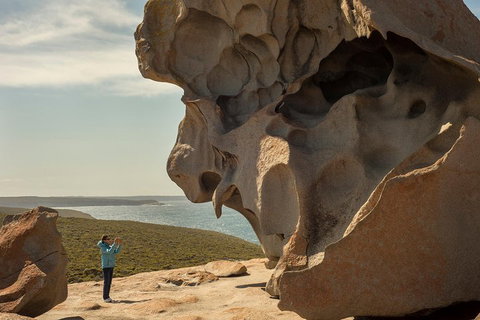 Kangaroo Island In A Day Tour From Adelaide - Accommodation Sunshine Coast 5