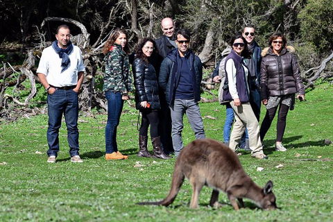 2-Day Kangaroo Island 4WD Small-Group Tour From Adelaide - Accommodation Sunshine Coast 1