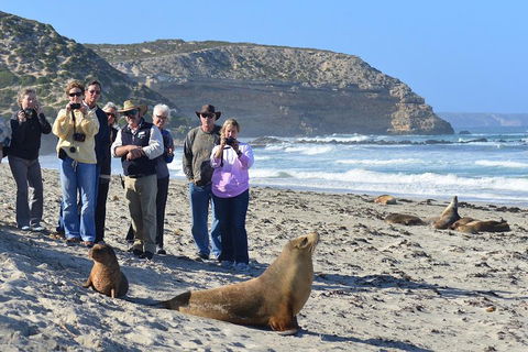 2-Day Kangaroo Island 4WD Small-Group Tour From Adelaide - Accommodation Sunshine Coast 3