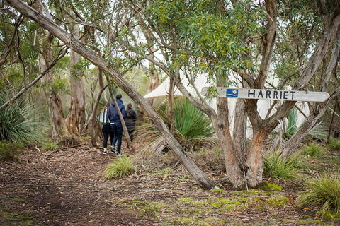 2-Day Kangaroo Island 4WD Small-Group Tour From Adelaide - Accommodation Sunshine Coast 5