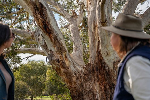 NEW TOUR - Kangaroo Island Road To Recovery Tour (1 Day/1 Night) - Accommodation Sunshine Coast 0