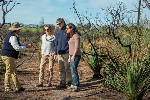NEW TOUR - Kangaroo Island Road To Recovery Tour (1 Day/1 Night) - Accommodation Sunshine Coast 4