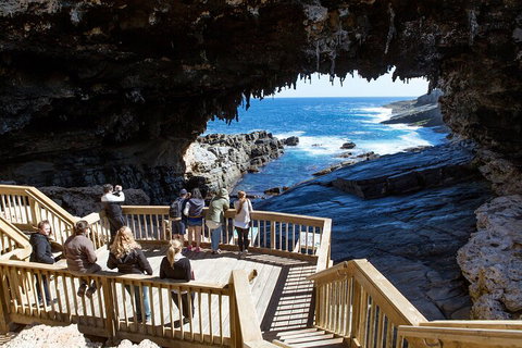 Full Day Flinders Chase Tour From Kangaroo Island - Accommodation Sunshine Coast 1