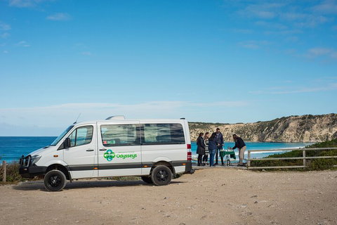 Full Day Flinders Chase Tour From Kangaroo Island - Accommodation Sunshine Coast 3