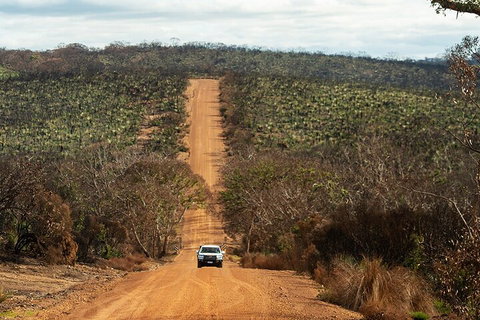 Full Day Flinders Chase Tour From Kangaroo Island - Accommodation Sunshine Coast 4