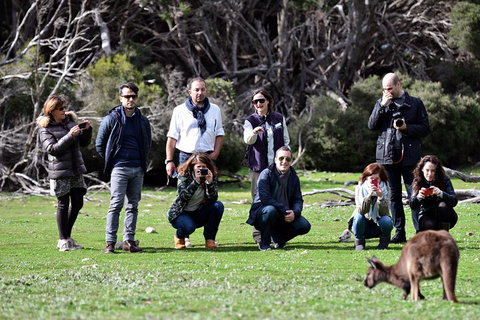 Small-Group Kangaroo Island 4WD Tour From Adelaide - Accommodation Sunshine Coast 2