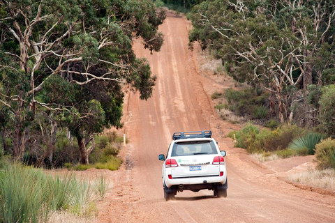 Small-Group Kangaroo Island 4WD Tour From Adelaide - Accommodation Sunshine Coast 3