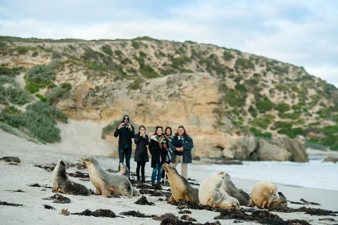 Small-Group Kangaroo Island 4WD Tour From Adelaide - Accommodation Sunshine Coast 4