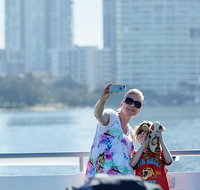 Lunch Buffet Cruise on the Gold Coast