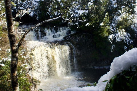 Cradle Mountain Day Tour From Launceston Including Lunch - Accommodation Sunshine Coast 0